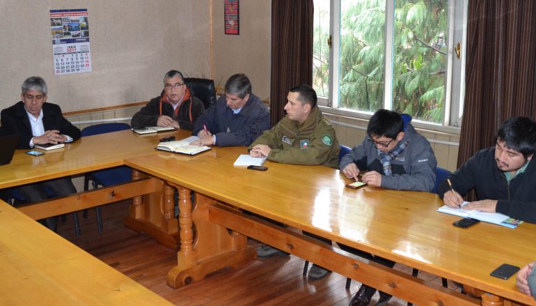 Se activa Comité de Emergencia Comuna de Lonquimay