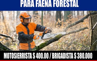 SE NECESITAN PARA FAENA FORESTAL….