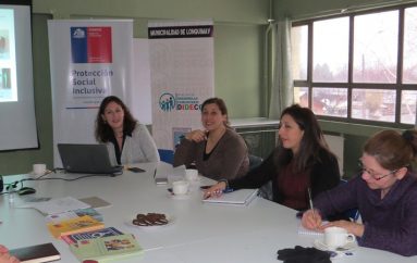 JORNADA DE TRABAJO CON EL SERVICIO NACIONAL DE DISCAPACIDAD (SENADIS ARAUCANÍA)