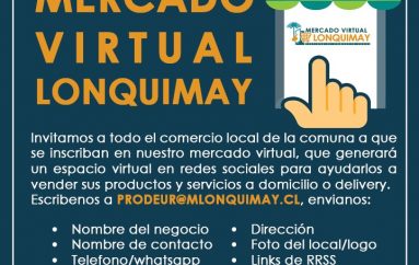 [MERCADO VIRTUAL LONQUIMAY]
