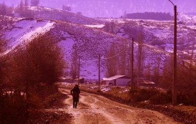 AVANZA PROYECTO DE ASFALTO   SECTORES NARANJO Y MALLÍN DEL TREILE