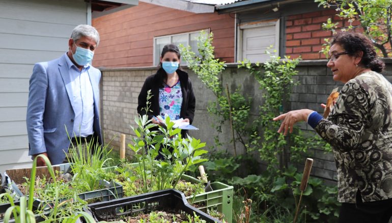 «HUERTEANDO» EN CASA, PROMOCIÓN DE UNA VIDA SALUDABLE