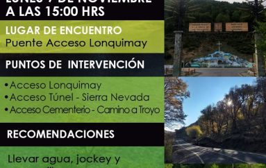» YO QUIERO A MI LONQUIMAY LIMPIO»