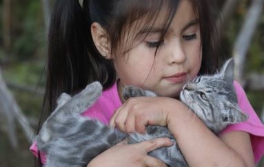 EN LONQUIMAY SE ACTIVA GUARDERÍA INFANTIL