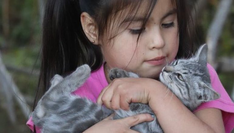 EN LONQUIMAY SE ACTIVA GUARDERÍA INFANTIL