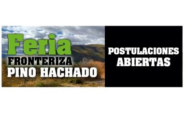 <strong>FERIA FRONTERIZA PINO HACHADO</strong>