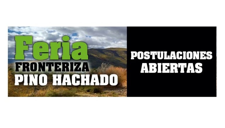 <strong>FERIA FRONTERIZA PINO HACHADO</strong>