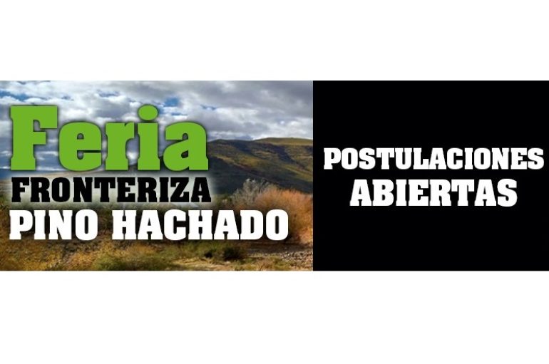 <strong>FERIA FRONTERIZA PINO HACHADO</strong>