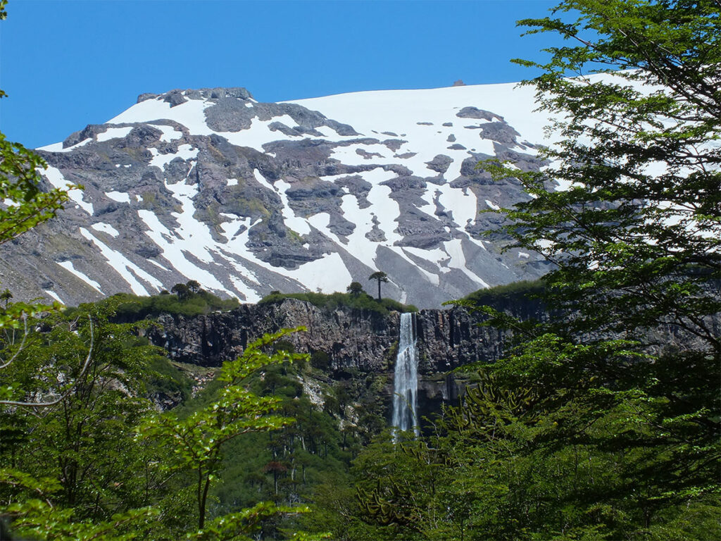 Salto punta negra