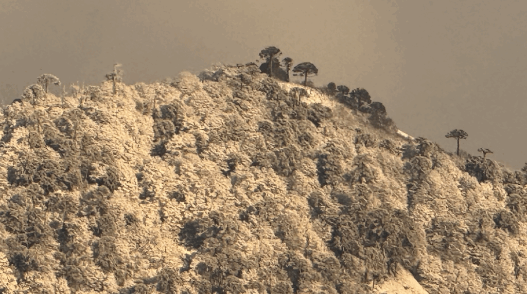 Cartelera: Invierno Bajo Cero Lonquimay 2025