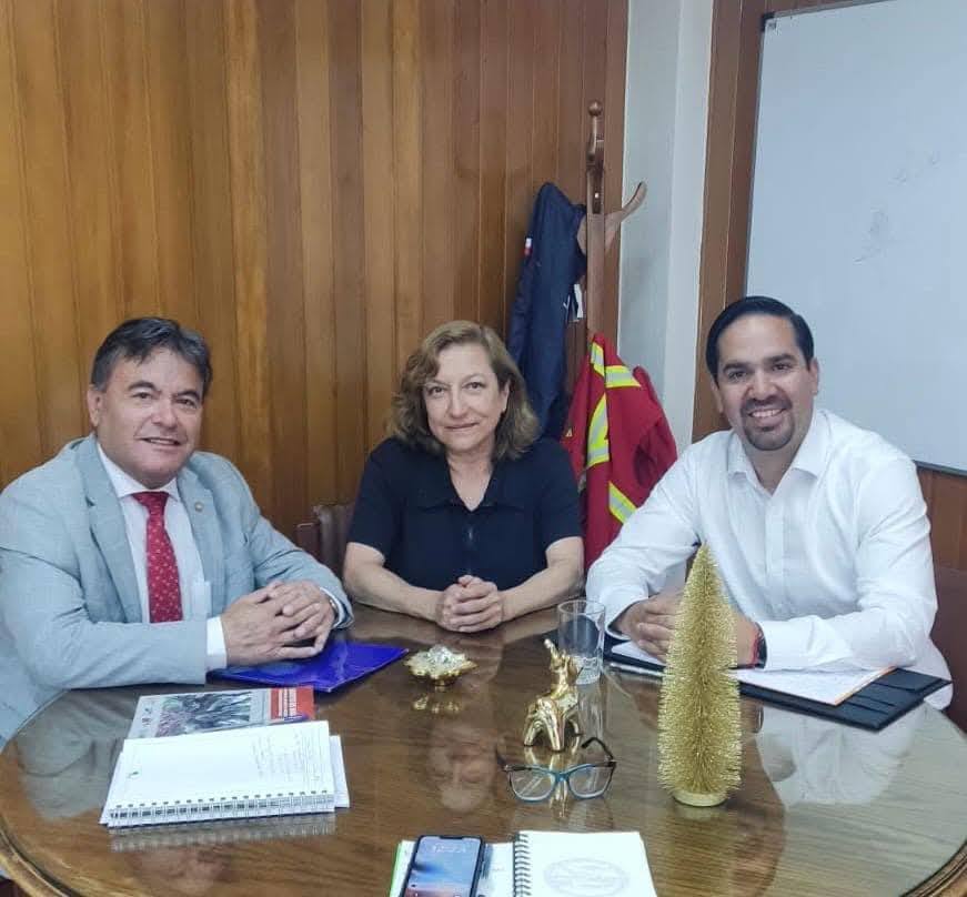 Avanzan gestiones para concretar el esperado asfalto Liucura – Icalma: CONAF autoriza intervención clave para el proyecto
