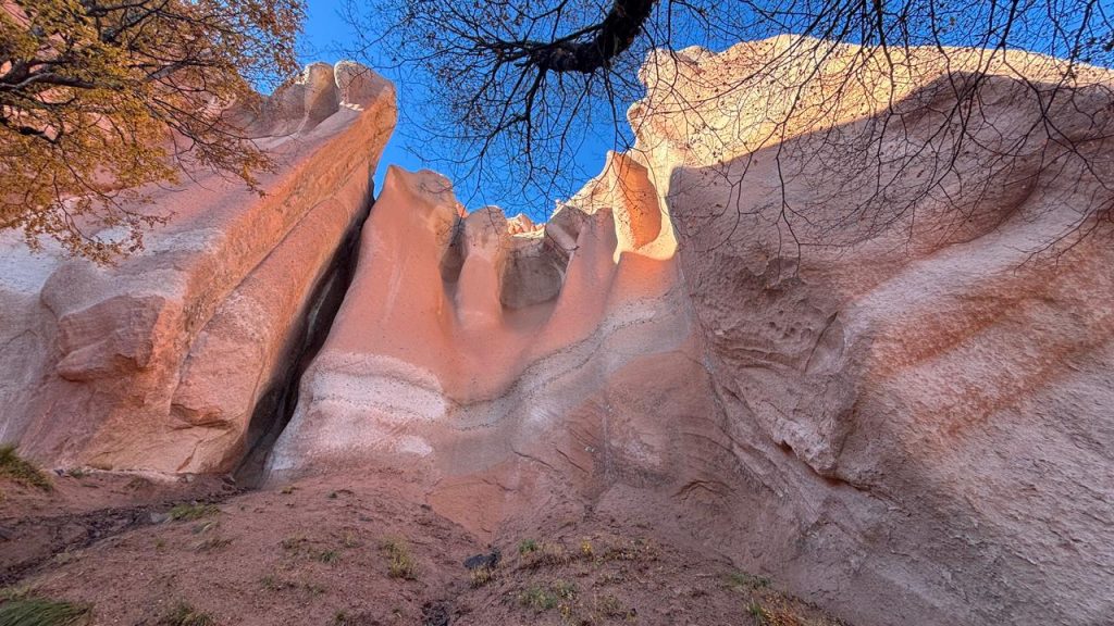 ¡Ya están disponibles las bases para el concurso de videos «Capturando la esencia de Bardas Coloradas / Kelu Pülli»!