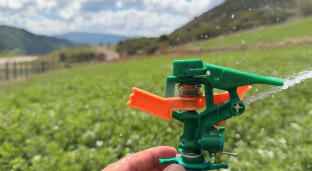 Abiertas las postulaciones Programa de Alfalfa 2026-2027: Convocatoria para el establecimiento de una hectárea de alfalfa