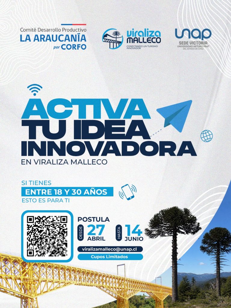 💥 ¡Lleva tu idea al siguiente nivel con el Plan de Formación Viraliza Malleco! 🚀