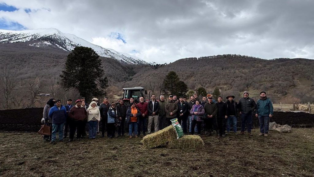 GOBIERNO REGIONAL Y MUNICIPALIDAD DAN INICIO AL LANZAMIENTO DEL PROYECTO DE PRADERAS DE ALFALFA EN RANQUIL